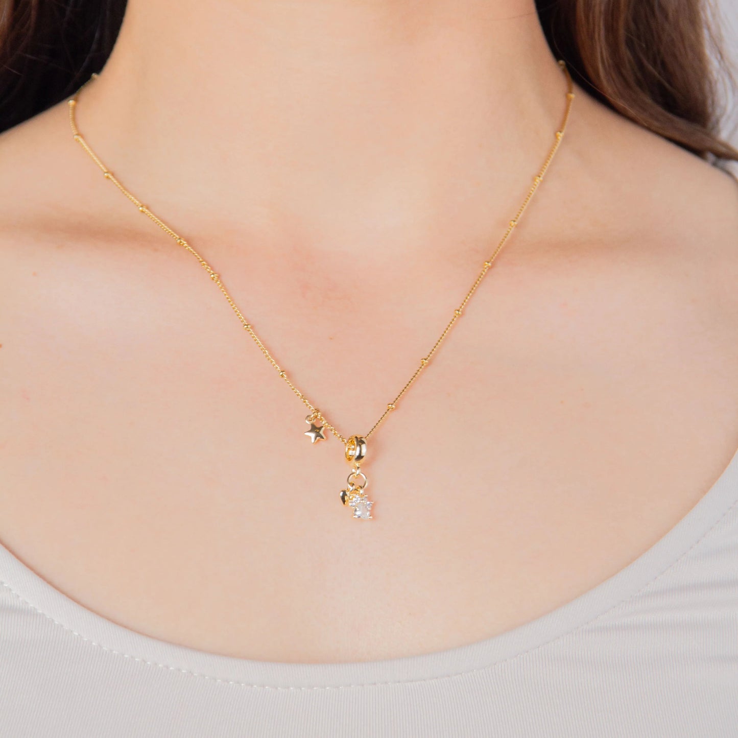 Collar Pet