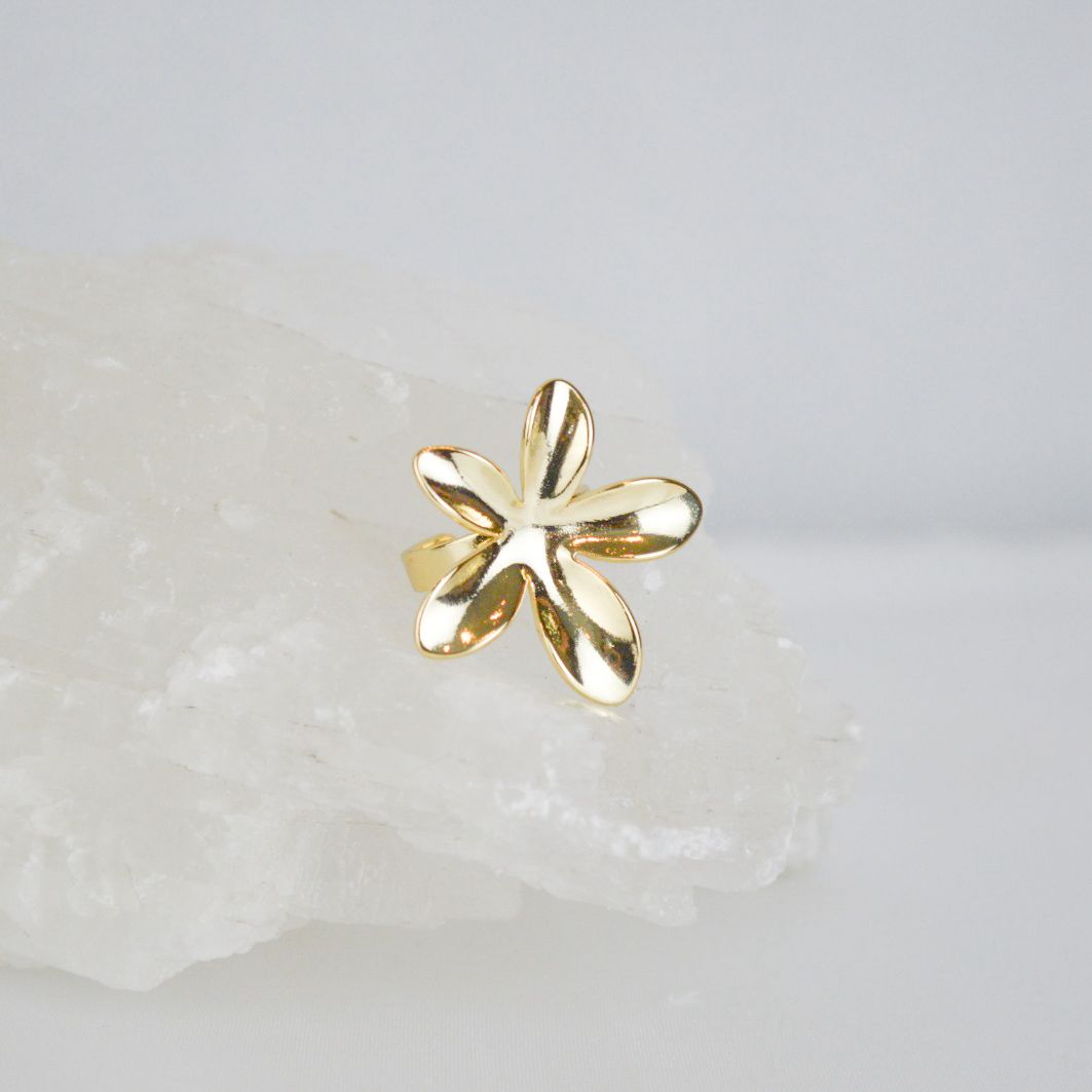 Anillo Eternal
