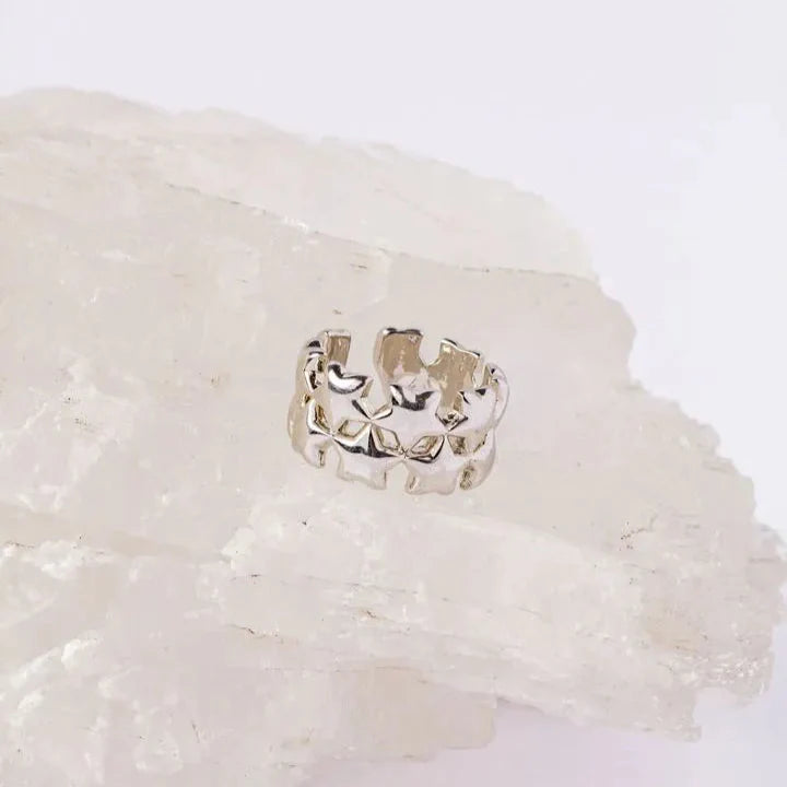 Anillo Fate