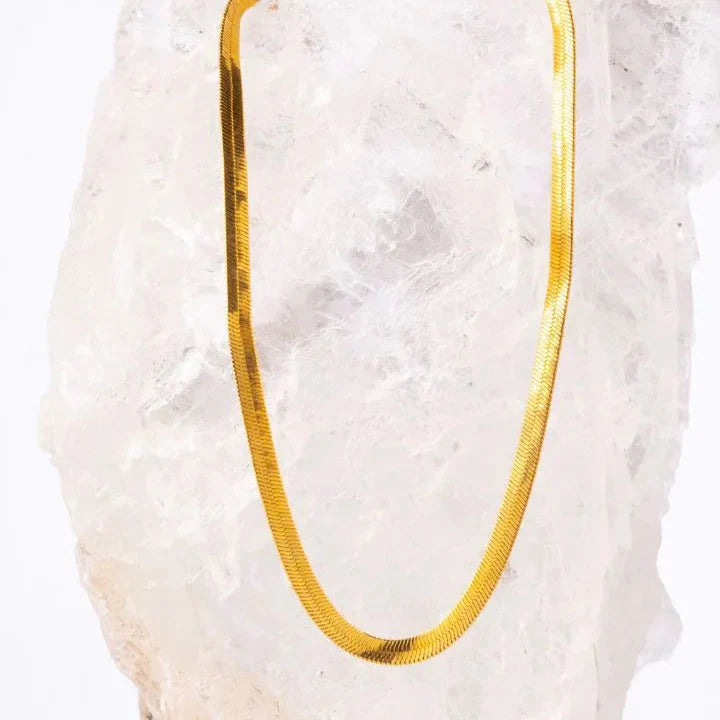 Collar Snake